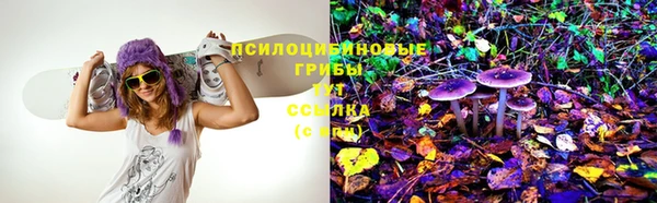 молекула духа Алексин
