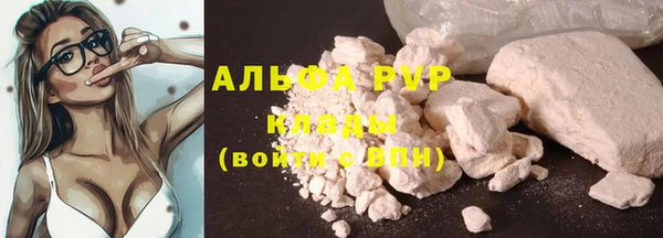молекула духа Алексин