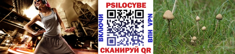 Галлюциногенные грибы прущие грибы  Камешково 